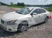 2011 Nissan MAXIMA фото
