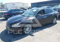 2011 Nissan MAXIMA фото