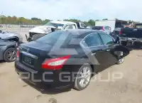 2011 Nissan MAXIMA фото