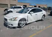 2011 Nissan MAXIMA photo
