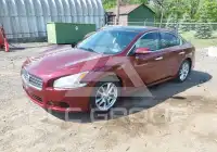 2011 Nissan MAXIMA фото