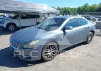 2011 Nissan MAXIMA фото