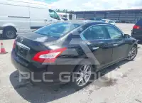 2011 Nissan MAXIMA photo