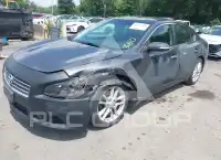 2011 Nissan MAXIMA фото