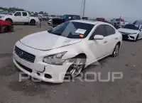2011 Nissan MAXIMA фото
