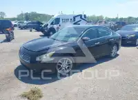2011 Nissan MAXIMA фото