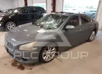 2011 Nissan MAXIMA фото