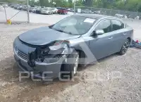 2011 Nissan MAXIMA фото