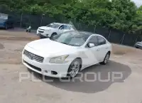 2011 Nissan MAXIMA photo