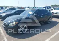 2011 Infinity M56 фото