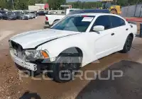 2011 Dodge CHARGER фото