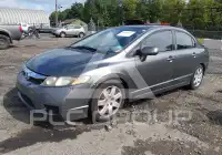 2011 Honda CIVIC фото