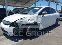 2011 Honda CIVIC photo