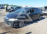 2011 Honda CIVIC photo