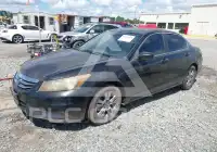 2011 Honda Accord фото