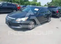 2011 Honda Accord фото