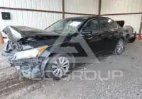 2011 Honda Accord photo