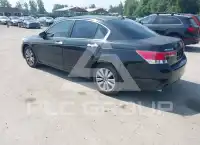 2011 Honda Accord фото