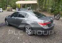 2011 Honda Accord photo