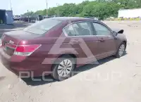 2011 Honda Accord photo