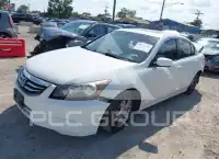 2011 Honda Accord photo