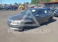 2011 Honda Accord photo