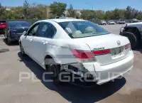 2011 Honda Accord photo