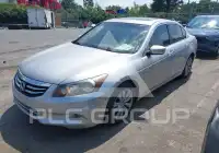 2011 Honda Accord photo