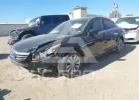 2011 Honda Accord photo