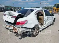 2011 Honda Accord photo