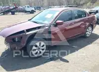 2011 Honda Accord photo