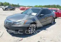 2011 Honda Accord фото