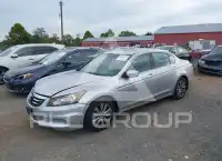 2011 Honda Accord photo