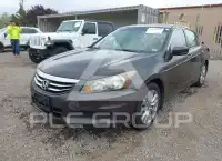 2011 Honda Accord фото