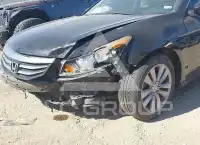2011 Honda Accord photo
