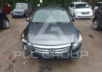 2011 Honda Accord фото