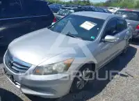2011 Honda Accord photo