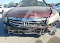 2011 Honda Accord фото
