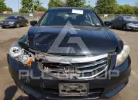 2011 Honda Accord photo