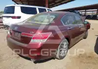 2011 Honda Accord фото
