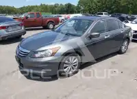 2011 Honda Accord фото