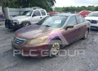 2011 Honda Accord фото