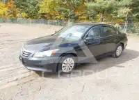 2011 Honda Accord фото