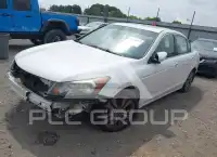2011 Honda Accord photo