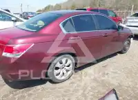 2011 Honda Accord photo