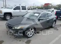 2011 Honda Accord фото