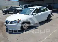 2011 Honda Accord photo