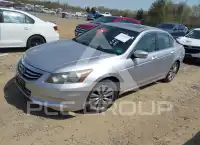 2011 Honda Accord photo