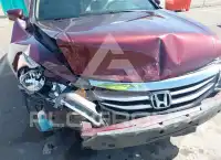 2011 Honda Accord photo