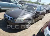2011 Honda Accord фото